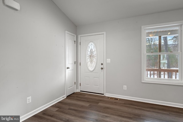 entrance foyer featuring dark hardwood / wood-style flooring, plenty of natural light, and lofted ceiling