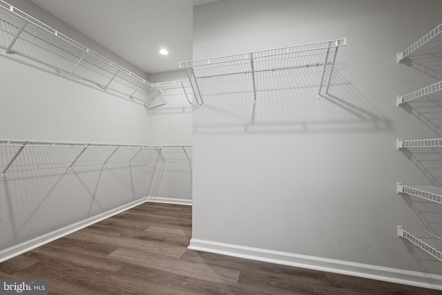 walk in closet featuring dark hardwood / wood-style floors