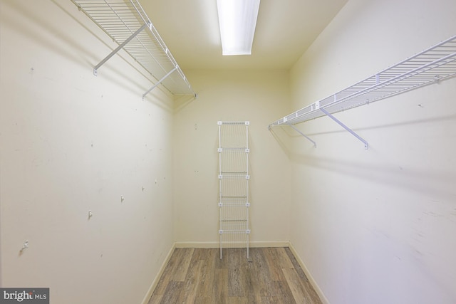 walk in closet featuring hardwood / wood-style flooring