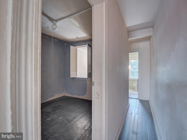 spacious closet featuring hardwood / wood-style flooring