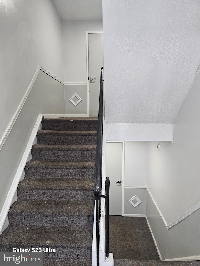 staircase with carpet flooring