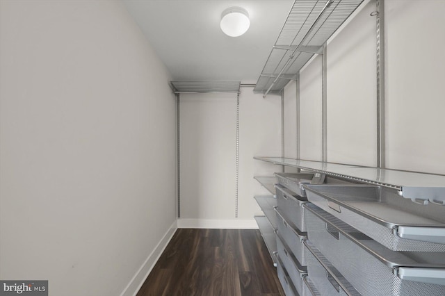 walk in closet with dark wood-type flooring