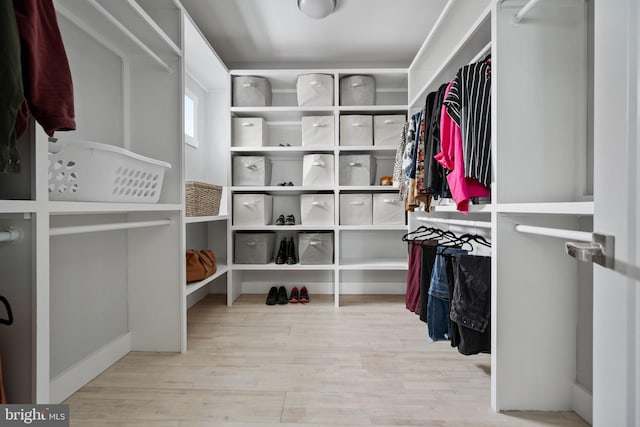 walk in closet with light hardwood / wood-style flooring