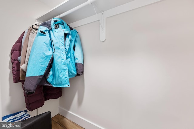 walk in closet with wood-type flooring