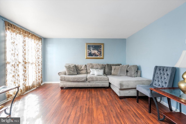 living room featuring dark hardwood / wood-style flooring