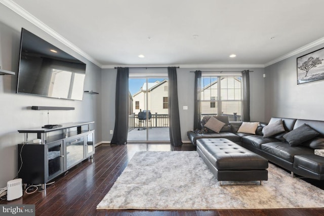 living room featuring crown molding and dark wood-type flooring