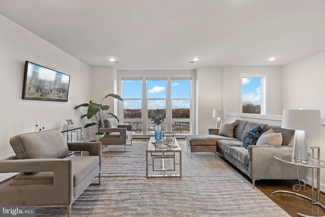 living room with wood-type flooring