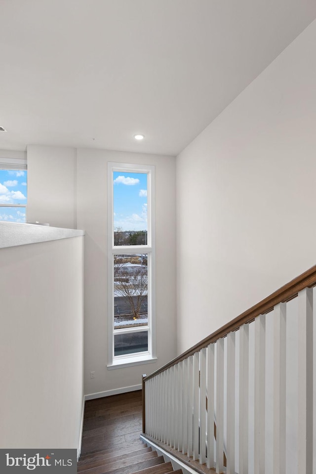 stairs with hardwood / wood-style flooring