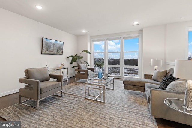 living room featuring dark hardwood / wood-style flooring