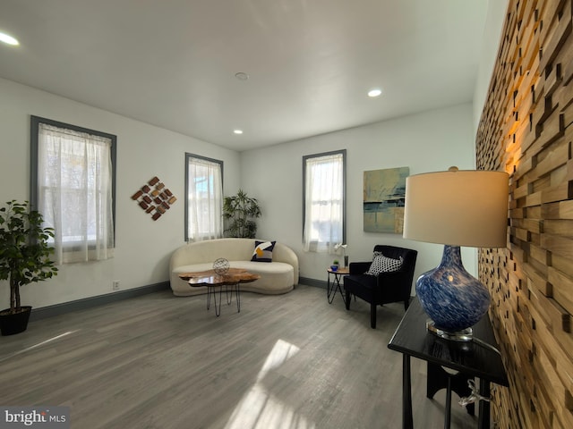 living room featuring hardwood / wood-style floors and a healthy amount of sunlight