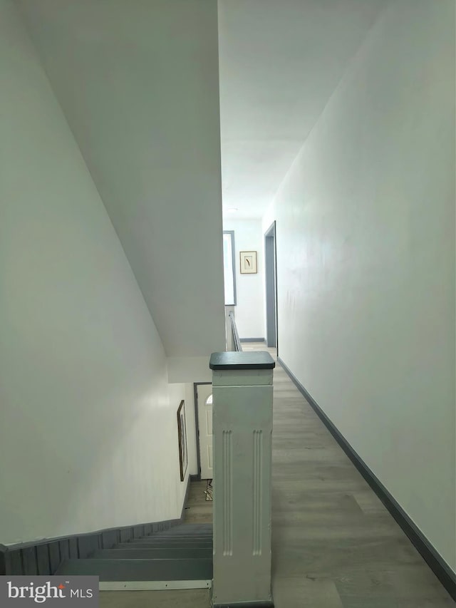 staircase featuring hardwood / wood-style floors