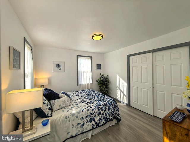 bedroom featuring wood-type flooring and a closet