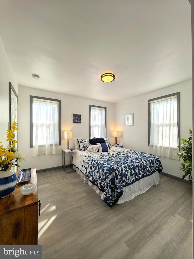 bedroom featuring multiple windows and hardwood / wood-style floors