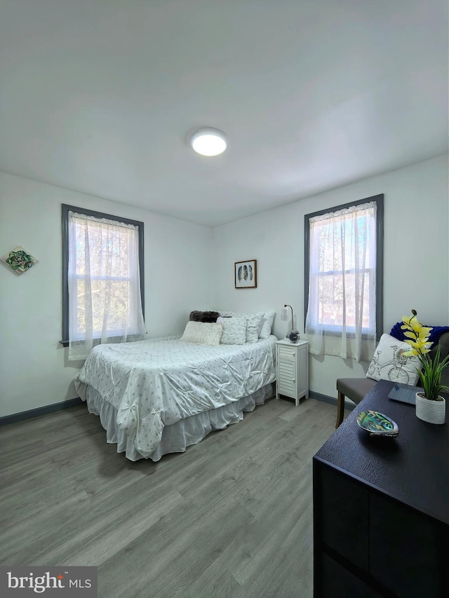 bedroom with multiple windows and hardwood / wood-style floors