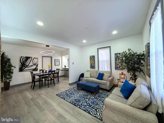 living room with wood-type flooring