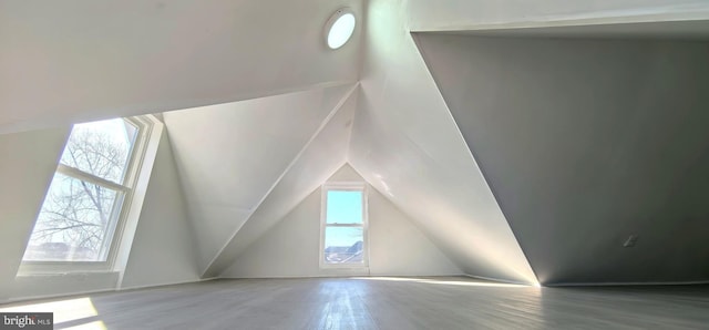 additional living space with hardwood / wood-style floors and lofted ceiling