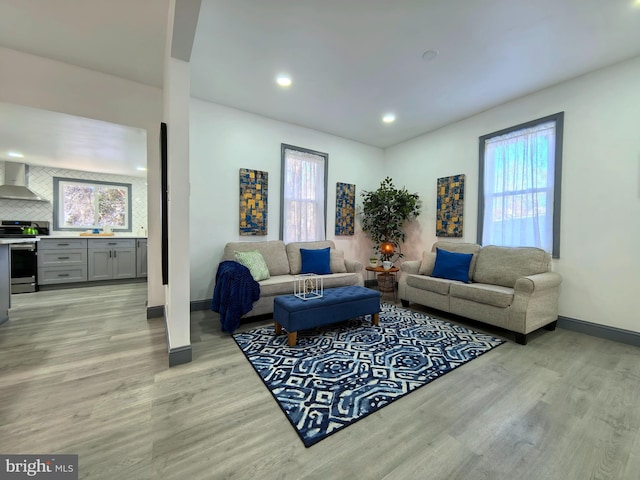 living room featuring light wood-type flooring and a wealth of natural light