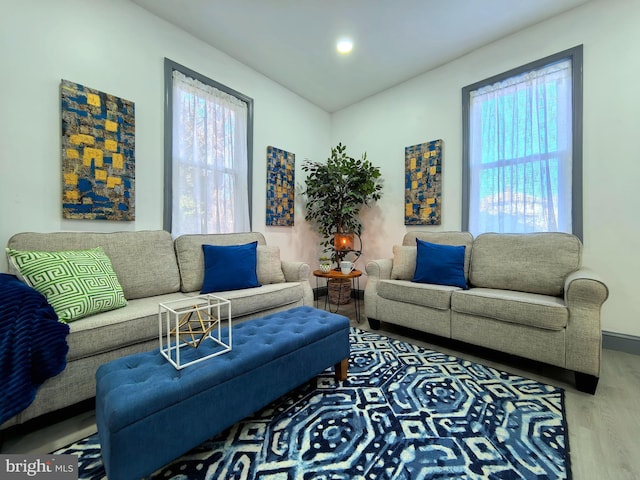 living room featuring hardwood / wood-style floors