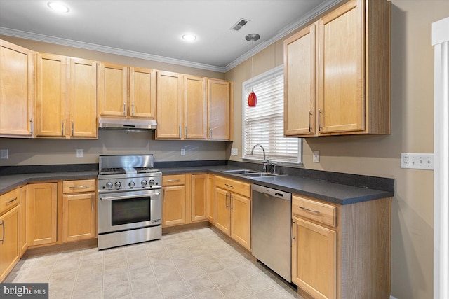 kitchen featuring crown molding, sink, and appliances with stainless steel finishes