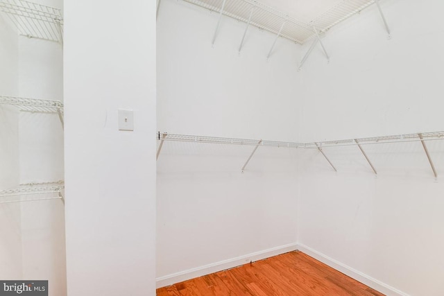 spacious closet with wood-type flooring