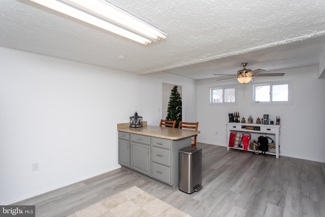 kitchen featuring gray cabinetry, ceiling fan, light hardwood / wood-style flooring, and a textured ceiling