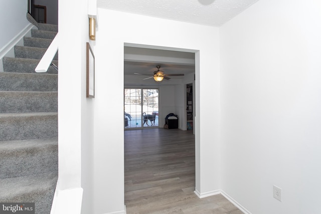 hallway with hardwood / wood-style flooring and a textured ceiling