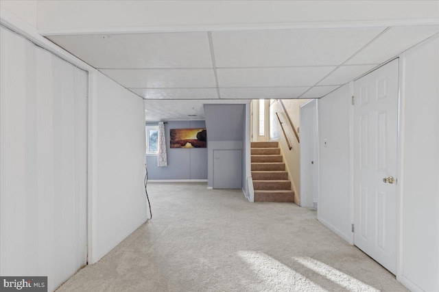 basement with a paneled ceiling and light colored carpet