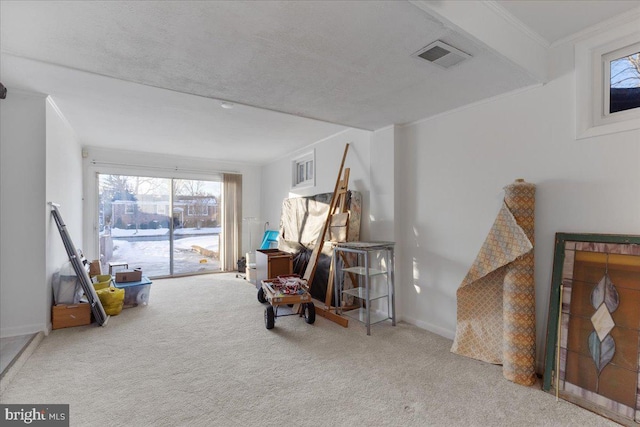 living area with carpet and crown molding