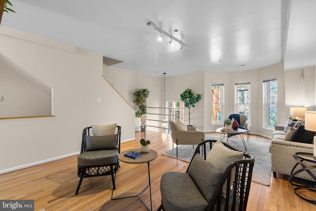 living room featuring track lighting and light hardwood / wood-style flooring