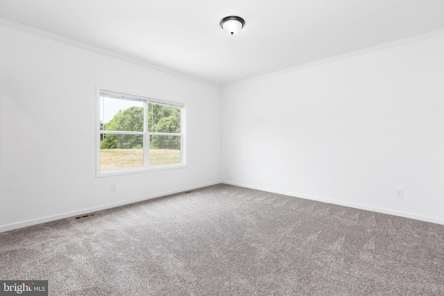 spare room with carpet and ornamental molding