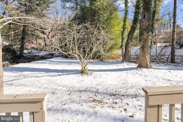 view of yard layered in snow