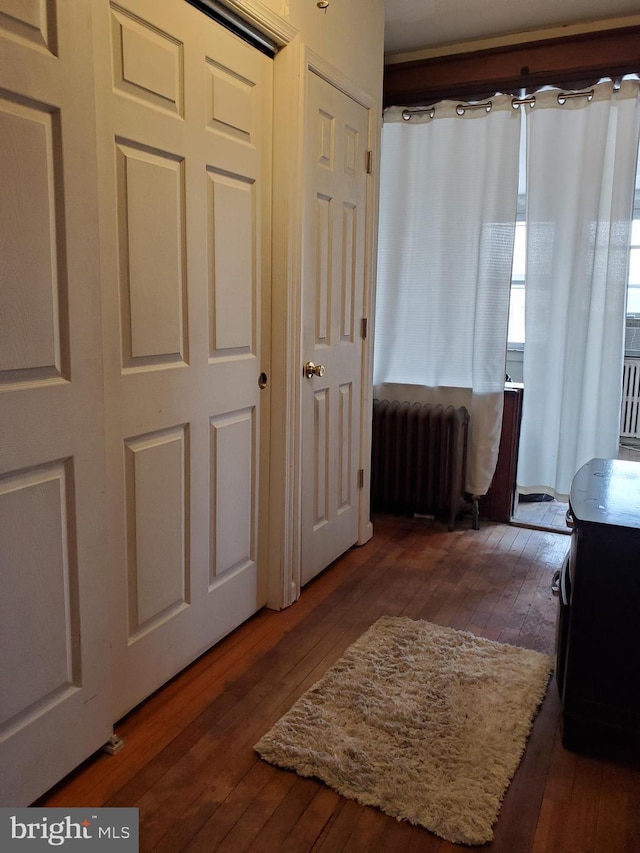 interior space featuring radiator heating unit and dark hardwood / wood-style flooring