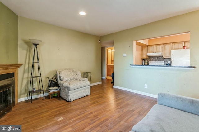 living room with hardwood / wood-style floors