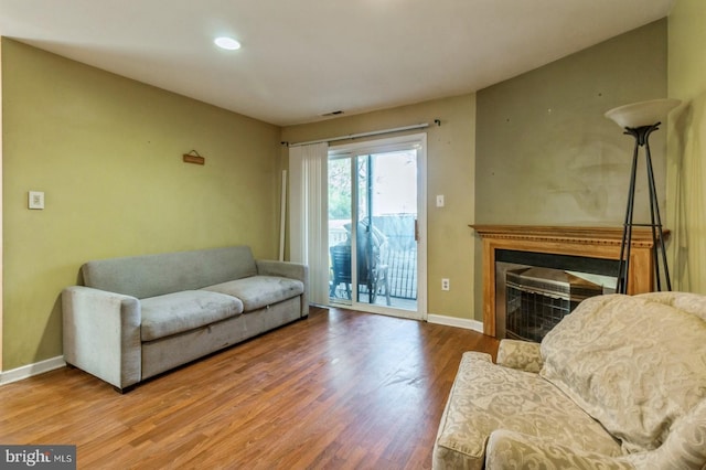 living room with wood-type flooring