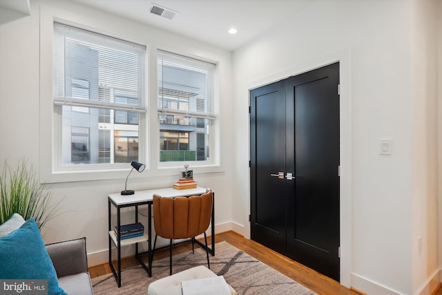 entryway featuring a healthy amount of sunlight and wood-type flooring