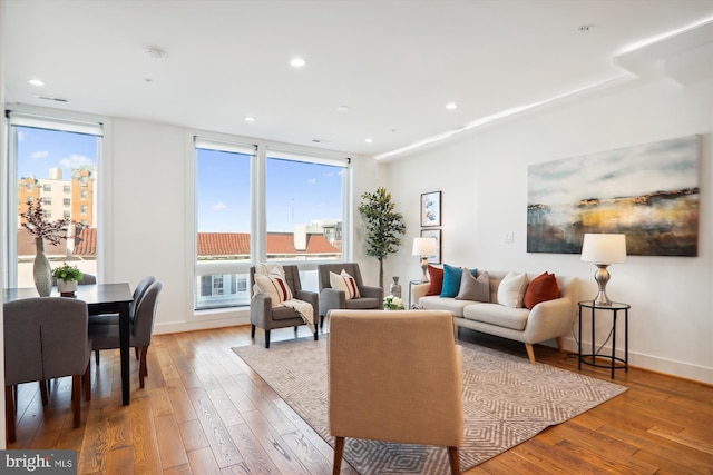 living room with a healthy amount of sunlight and wood-type flooring