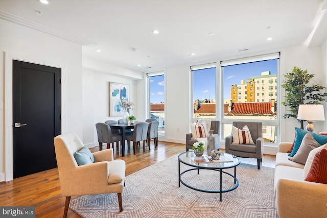 living room featuring a wall of windows, crown molding, and light hardwood / wood-style flooring