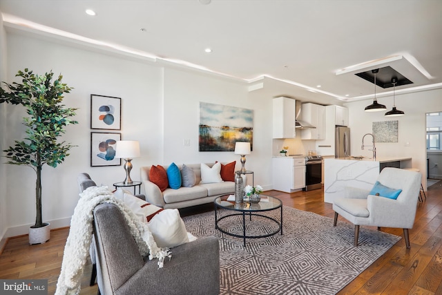 living room with sink and dark wood-type flooring