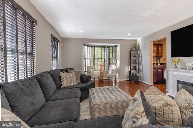 living room featuring a fireplace and dark hardwood / wood-style floors