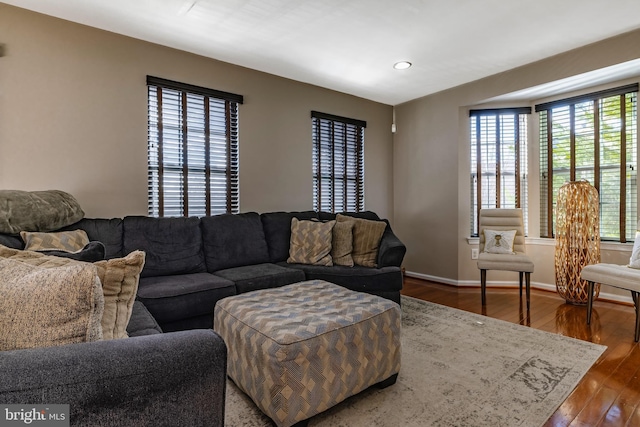 living room with dark wood-type flooring