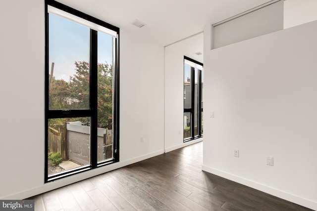 spare room with floor to ceiling windows, a wealth of natural light, and dark wood-type flooring