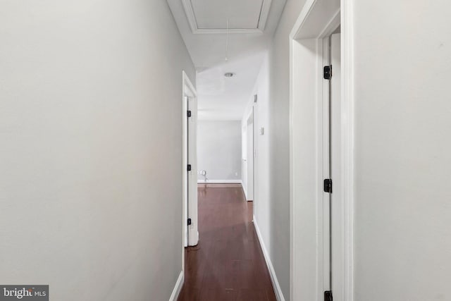 hallway featuring crown molding and dark hardwood / wood-style floors