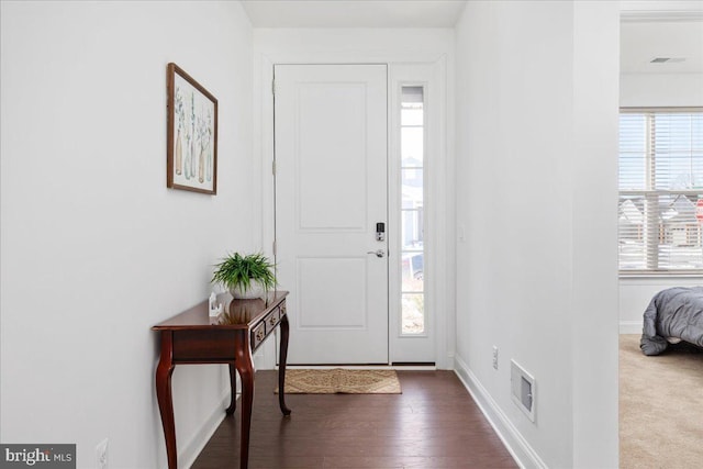 carpeted entryway with a wealth of natural light