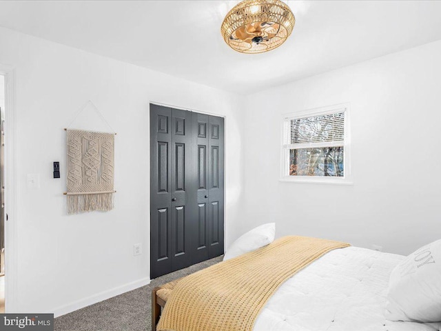 bedroom featuring carpet flooring and a closet