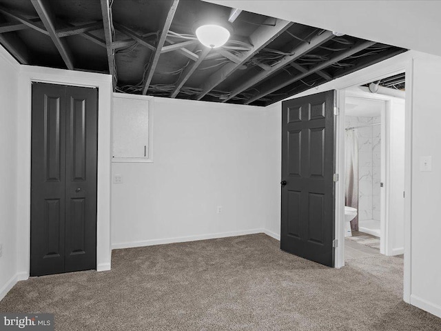 basement featuring carpet floors