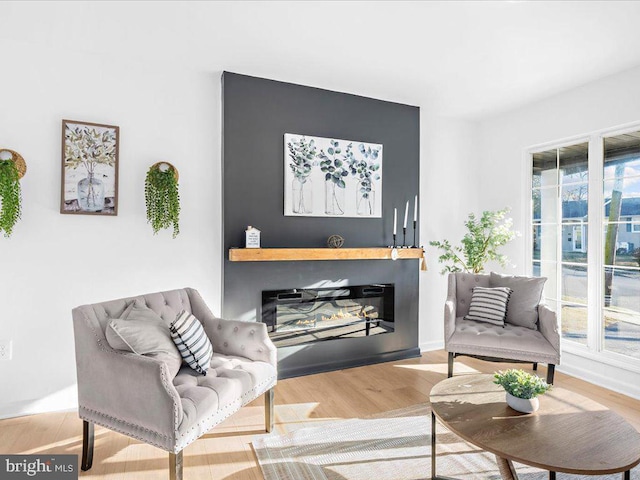 living area with light hardwood / wood-style flooring