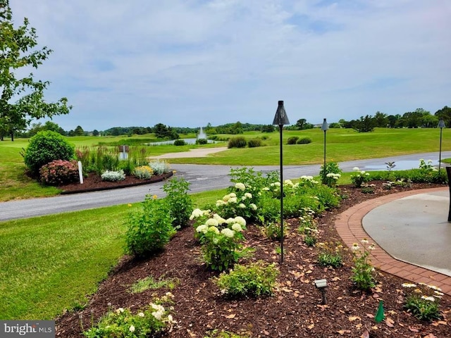 view of community with a lawn