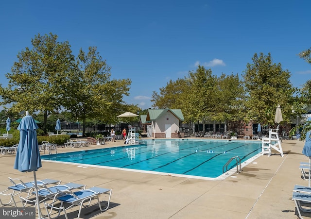 view of swimming pool with a patio