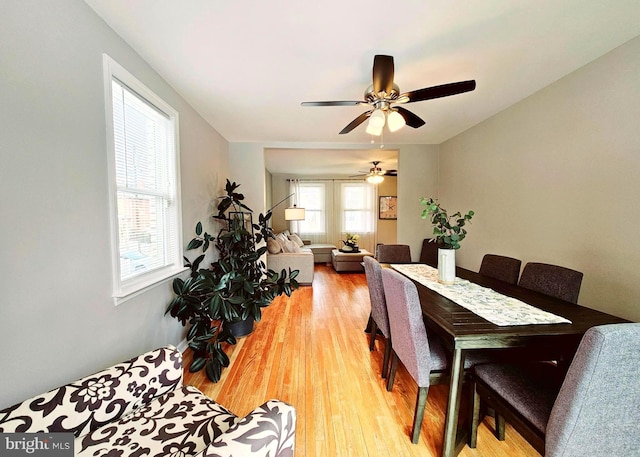 dining space featuring hardwood / wood-style flooring