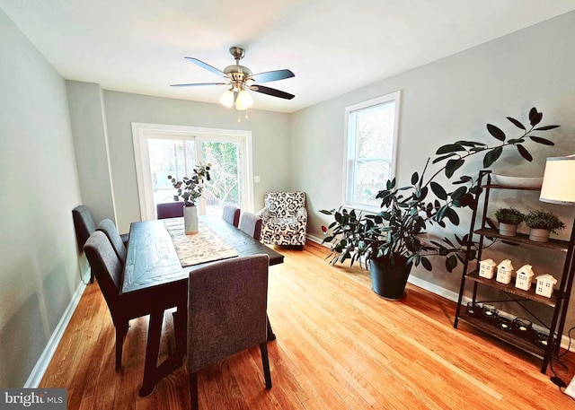 dining room featuring ceiling fan, a healthy amount of sunlight, and wood-type flooring